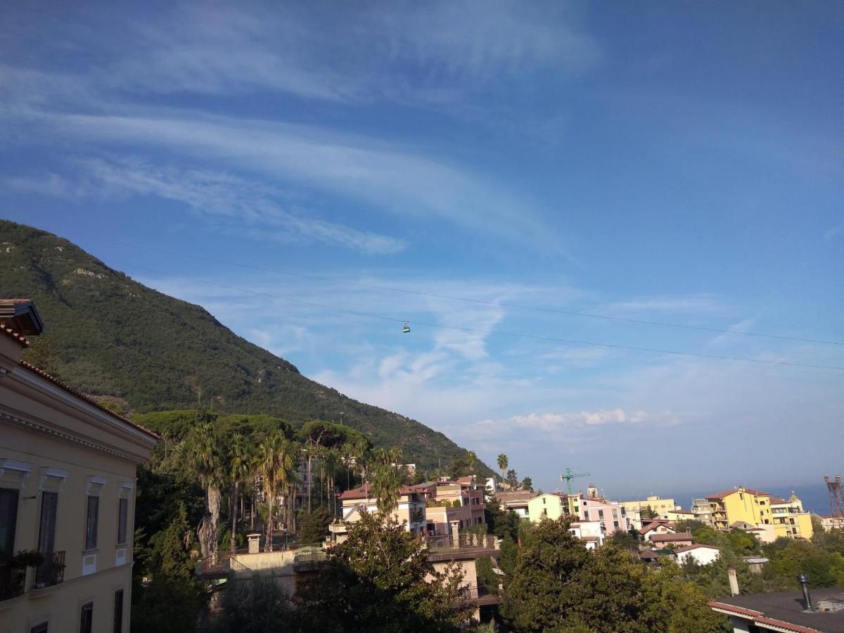 Pellicano -il Nido