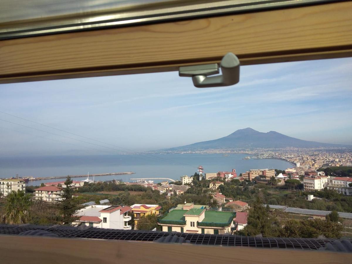 Pellicano -il Nido *